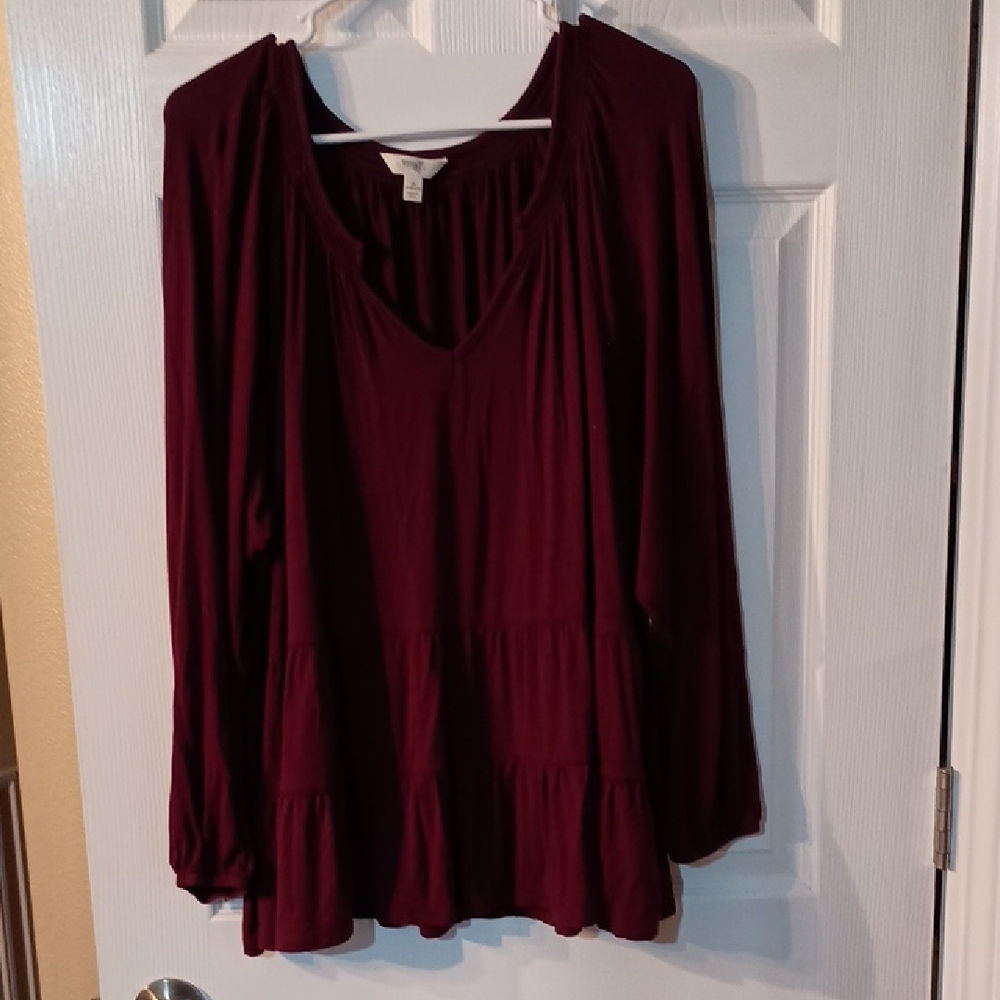 Nwot Terra & Sky Women's Tiered Ruffles Long Sleeve Tunic V-Neck z100